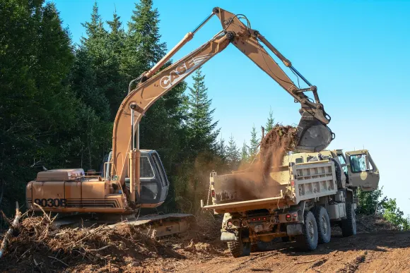 Wombet Casino Ënnerstëtzung